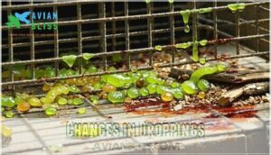 changes in droppings