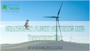 changes in flight patterns and territory use