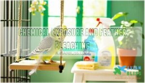 chemical exposure and feather bleaching