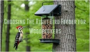 choosing the right bird feeder for woodpeckers