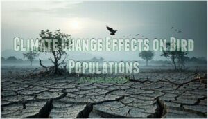 climate change effects on bird populations climate change effects on bird populations