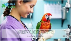 clinical examination