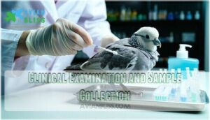 clinical examination and sample collection