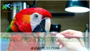 clinical signs and physical examination clinical signs and physical examination