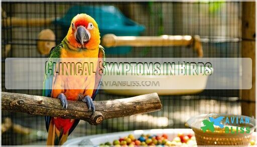 Vitamin D Toxicity in Birds: Causes, Symptoms, Prevention, and Care Guide