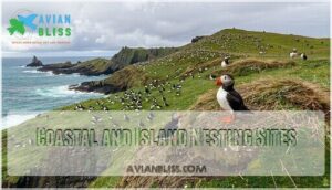 coastal and island nesting sites