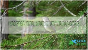 coastal and mountain woodlands