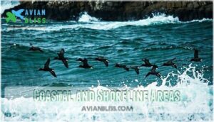 coastal and shoreline areas