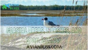 coastal areas, marshes, and spoil islands coastal areas, marshes, and spoil islands