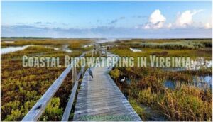 coastal birdwatching in virginia