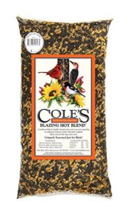 Cole's BH20 Blazing Hot Blend B004DE9FDC