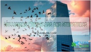 collisions with glass and structures
