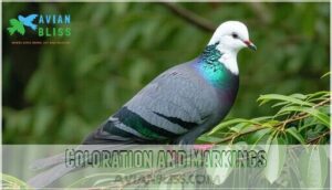 coloration and markings