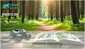common and rare birds in colorado parks common and rare birds in colorado parks