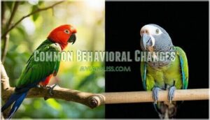 common behavioral changes