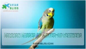common causes of puffed-up feathers