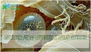 common fungi affecting avian species
