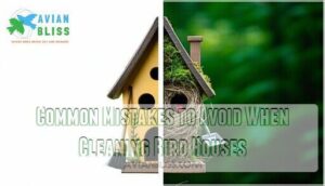 common mistakes to avoid when cleaning bird houses
