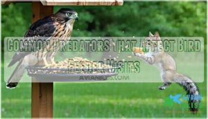 common predators that affect bird feeder visits common predators that affect bird feeder visits