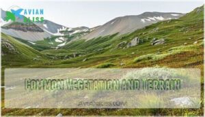 common vegetation and terrain common vegetation and terrain