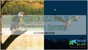 comparison: bald eagles vs. nocturnal raptors