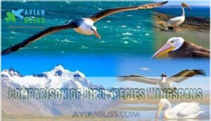 comparison of bird species wingspans