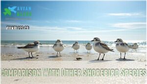 comparison with other shorebird species comparison with other shorebird species
