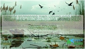 complications and risks for bird populations