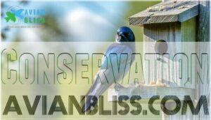 conservation conservation