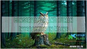 conservation and human interaction in maine