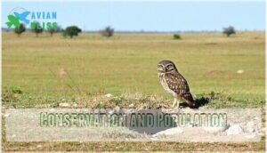 conservation and population