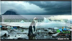 conservation concerns for penguins