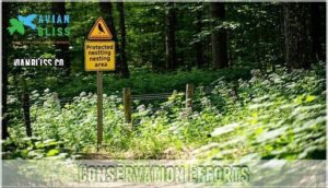 conservation efforts conservation efforts