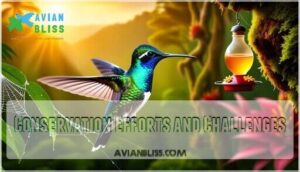 conservation efforts and challenges conservation efforts and challenges