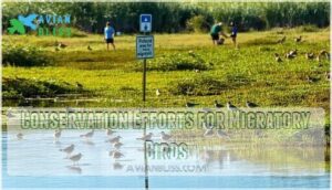 conservation efforts for migratory birds conservation efforts for migratory birds