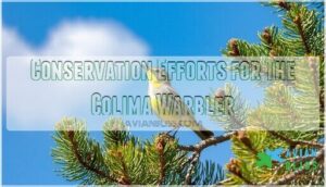 conservation efforts for the colima warbler
