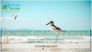 conservation implications of sandpiper hopping behavior conservation implications of sandpiper hopping behavior