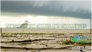 conservation status and challenges