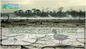 conservation status and current threats