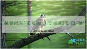 conservation status and human impact conservation status and human impact