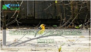 conservation status and ongoing threats