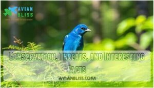 conservation, threats, and interesting facts