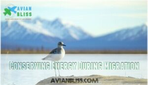 conserving energy during migration conserving energy during migration