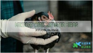 contact with infected birds