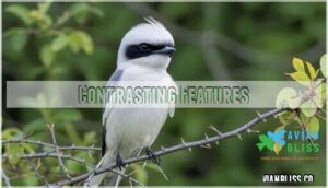 contrasting features