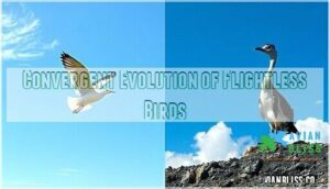 convergent evolution of flightless birds convergent evolution of flightless birds