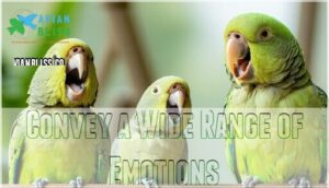 convey a wide range of emotions