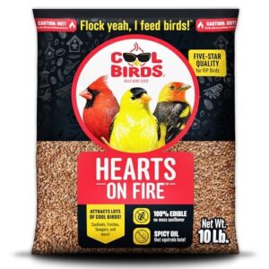 COOL BIRDS Hearts on Fire B0F5SWCYTZ