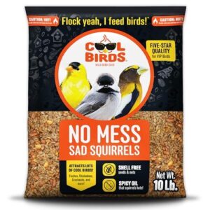 Cool Birds No Mess Sad B0FKC2848F