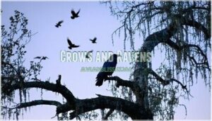 crows and ravens